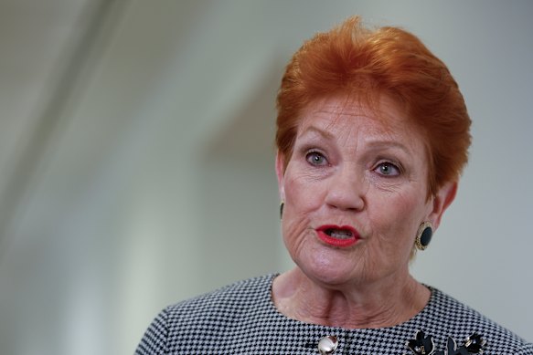 One Nation leader Pauline Hanson has been riding a wave of momentum this year.