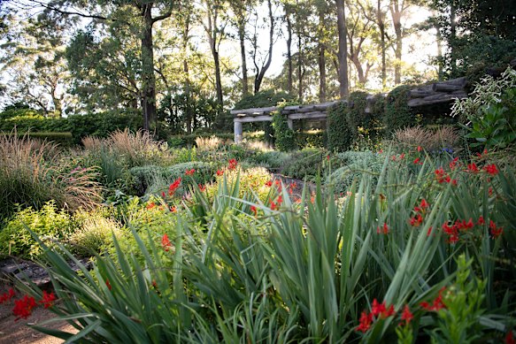 Bristow began redesigning the formal garden at the Blue Mountains Botanic Garden in early 2023