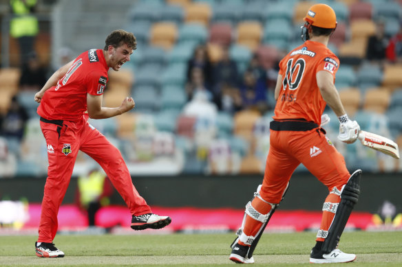 Peter Hatzoglou celebrates the wicket of Perth's Mitch Marsh.