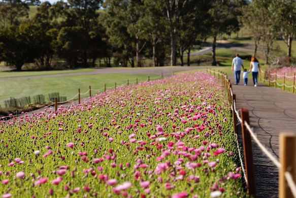 Paper Daisy Spring Festival.