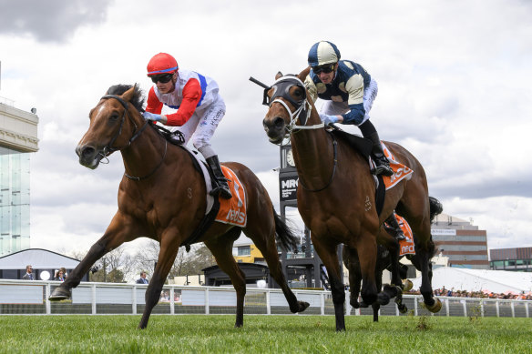 Mr Maestro (left) with Harry Coffey aboard, taking out the Neds Classic.