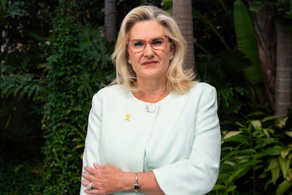 Former Liberal senator Hollie Hughes.