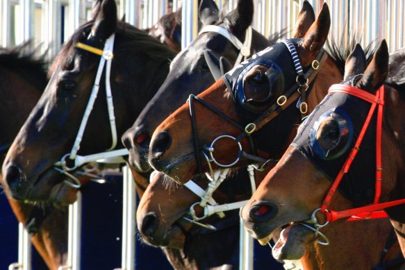 They’re racing at Mudgee on Sunday.