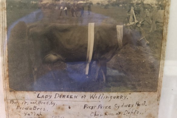 Lady Doreen of Wollingurry was an early winner at the show for the Brown family.