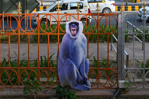 Cut-outs of langur monkeys have been installed in Delhi to scare away about 20,000 rhesus macaques ahead of the G20.
