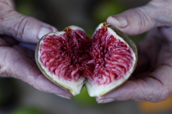 Fresh figs at Orange Farmers Market, Orange.