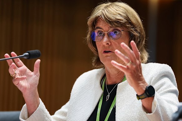 Reserve Bank governor Michele Bullock has conceded that government spending has contributed to the lift in spending across the economy.