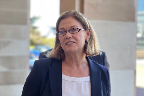 Health Minister Meredith Hammat.