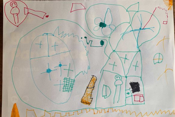 Freddie, 5, draws his understanding of lockdown.