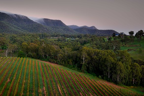 Laval will sit on the hills of one of the state’s most renowned viticultural landscapes.