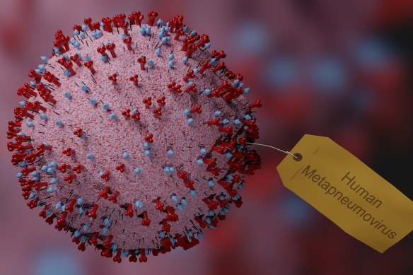Human metapneumovirus is on the rise.