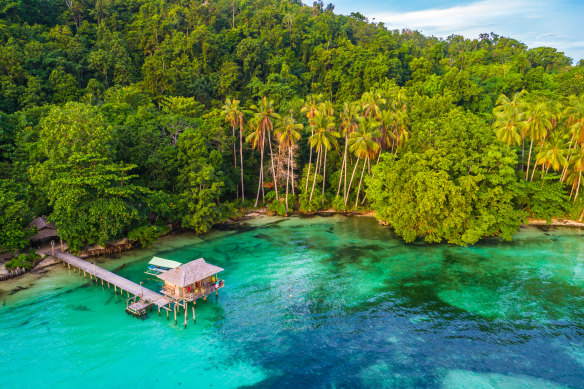 PNG: Wild, mysterious, haunting and flamboyant.