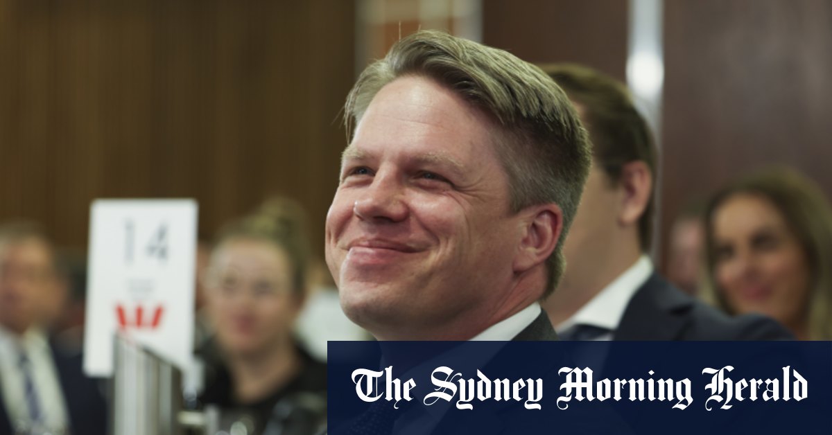 Who’s who in the Labor and Liberal campaign zoo