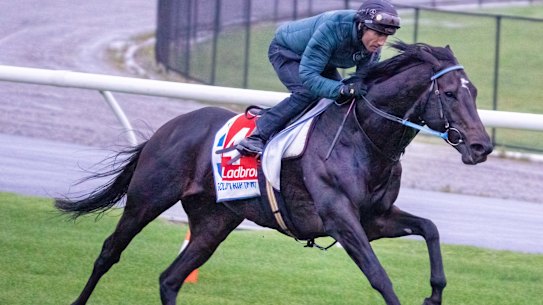 Gold Trip wasn’t passed fit for the Cox Plate, but he will now head to Sydney.