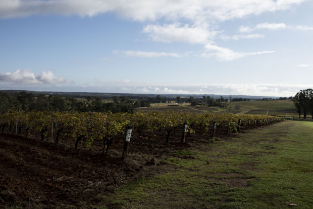 Tyrrell Wines in Pokolbin, Hunter Valley.