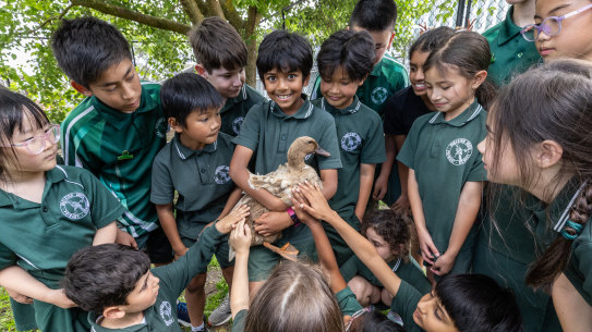 Oakleigh Primary School is outperforming most private schools in NAPLAN testing for reading, writing and numeracy.