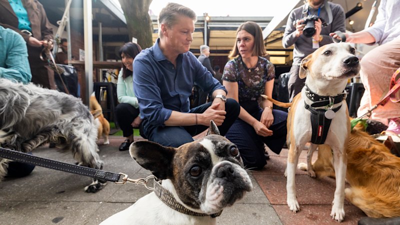 Dogs at the bar: Pooch-owning pub goers offered election treat