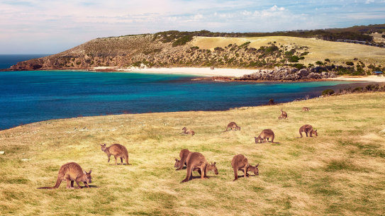 The picturesque Stokes Bay in South Australia took out the top spot in 2023.