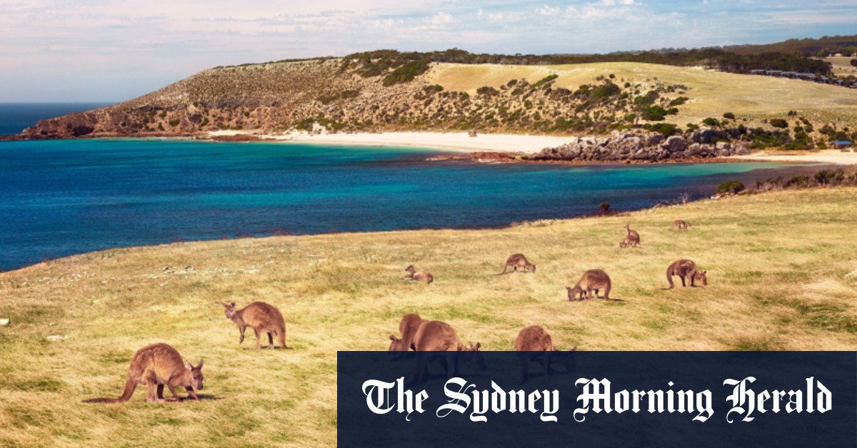 Tourism Australia reveals nation's top 10 beaches - Vimarsana News