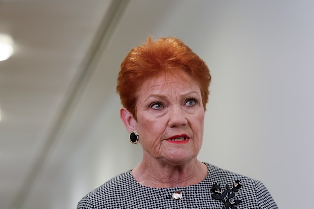 Secret Harbour byelection: One Nation upset could cause 'shockwaves' in  Canberra | Nine.com.au