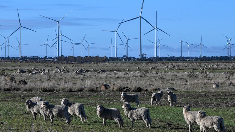 Maritime wind measures difficult but essential