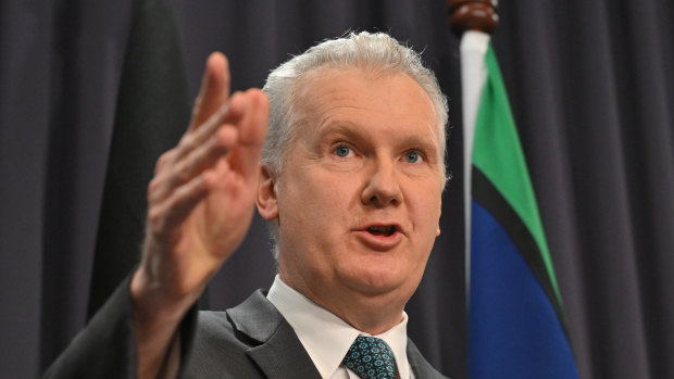 Burke dismisses as ‘idiotic’ opposition claims he would be soft on Palestinian refugees