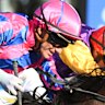 Racing returns to Coffs Harbour on Friday.