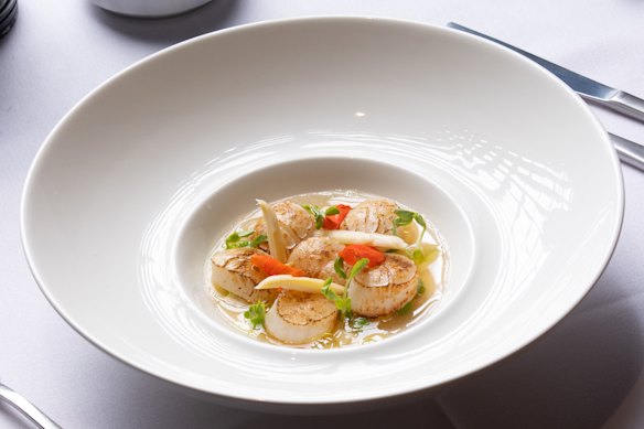 Seared scallops in tomato consomme at Il Bacaro.
