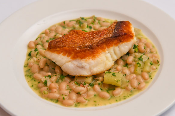 Expertly pan-cooked red emperor fillet on a white bean ragu with braised fennel.