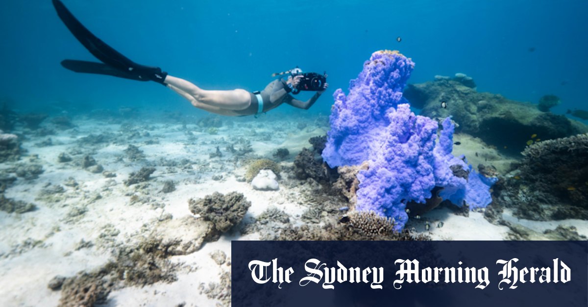 Has the Paris Agreement started to work? The numbers are in