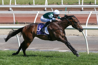 Yulong January, with jockey Jye McNeil, darts home for the win. 