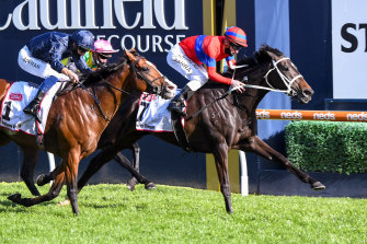 Verry Elleegant, winning last year’s Caulfield Cup.