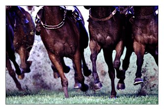 Racing returns to Coonabarabran on Sunday with an eight-race card.
