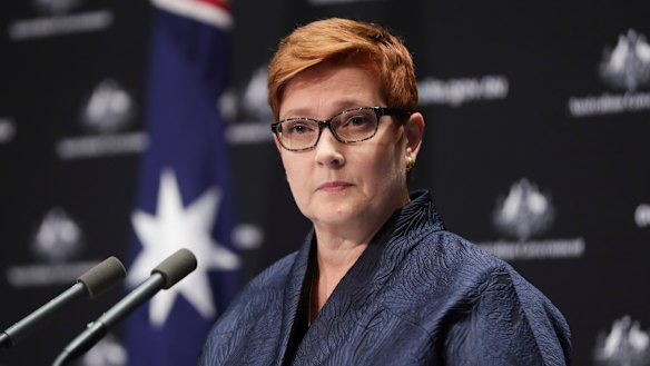 Foreign Affairs Minister Marise Payne has called for a review into the world's coronavirus response.