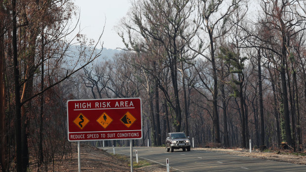 Bushfires could wipe up to 0.5 per cent from growth over the next few months, economists have warned.