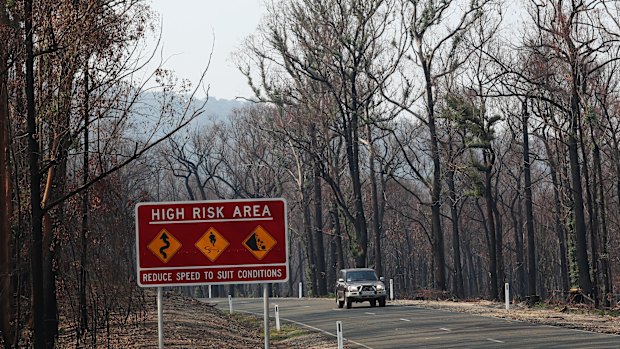 Bushfires could wipe up to 0.5 per cent from growth over the next few months, economists have warned.