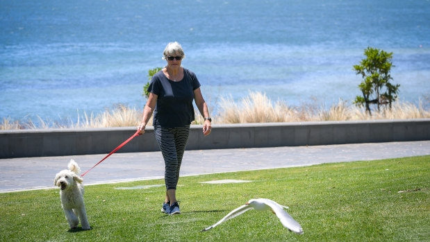 Dianne Ray, owner operator of Dianne’s Venture Tours at the Cowes Jetty,