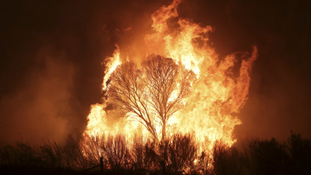 A bushfire burning south of Canberra is threatening communities in Bumbalong, NSW, and the surrounding region.