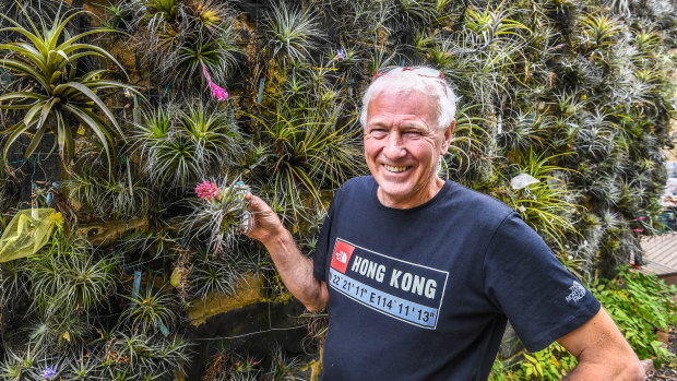 Lloyd Godman with some of his air plants, or tillandsias, in St Andrews.