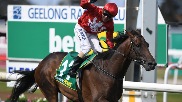 Stephen Baster rides Runaway to victory in the 2018 Geelong Cup.