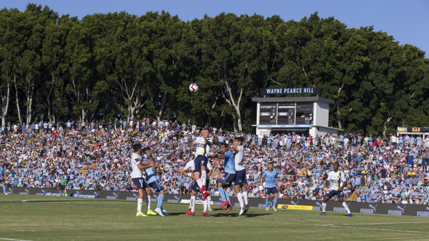 The star: Leichhardt Oval hosts Sydney FC and the Mariners in a successful A-League debut for the venue.