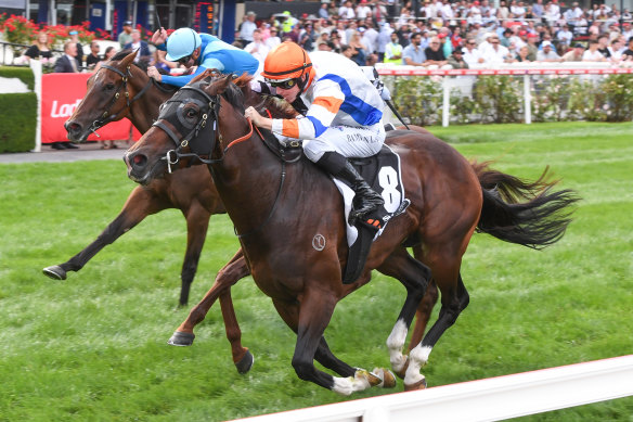 Damian Lane rides Veight to victory at Moonee Valley last month.