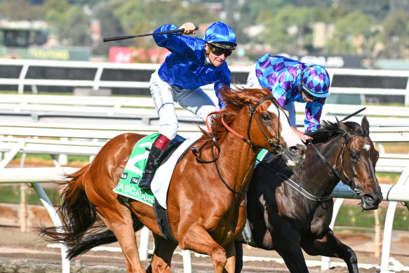 Ben Melham won one of his 21 group 1 events on Cascadian in the 2024 Australian Cup.