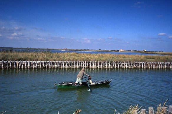 The region’s wetlands are the largest in Italy and can be toured by boat.