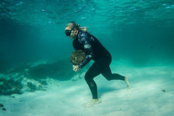 Felicity Palmateer prepares for Hawaii’s big wave season and the Eddie Aikau Invitational.