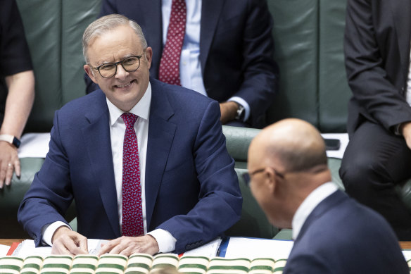 Anthony Albanese and Peter Dutton in parliament last month.