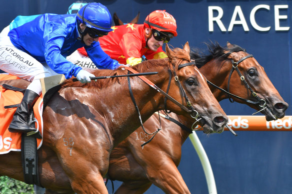 Hanseatic (left) pipped Rulership at the post at Caulfield earlier this month.
