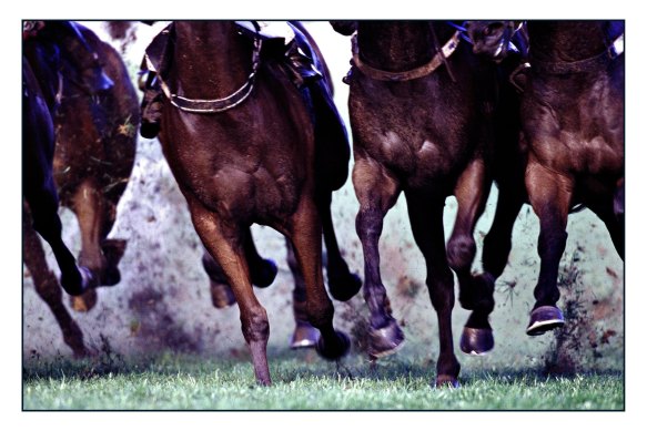 A drying track is predicted for the Gundagai Cup meeting.