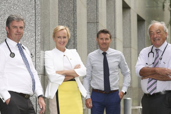 Doctors in the House of Representatives: David Gillespie, Katie Allen, Andrew Laming and Mike Freelander.