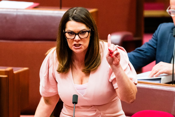 Greens senator Sarah Hanson-Young called the government “technological troglodytes”.